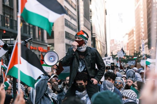 Pro-Palestinian protesters