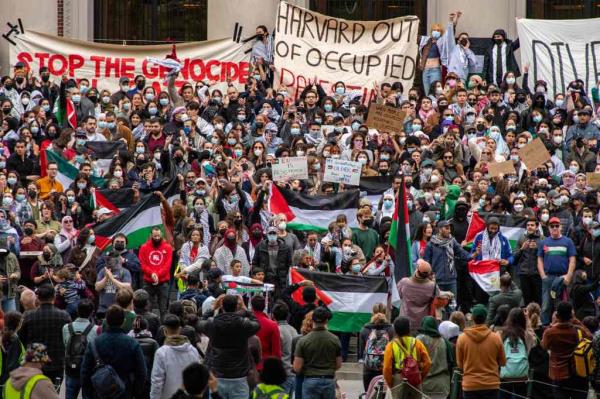 Pro-Palestine signs at Harvard including 