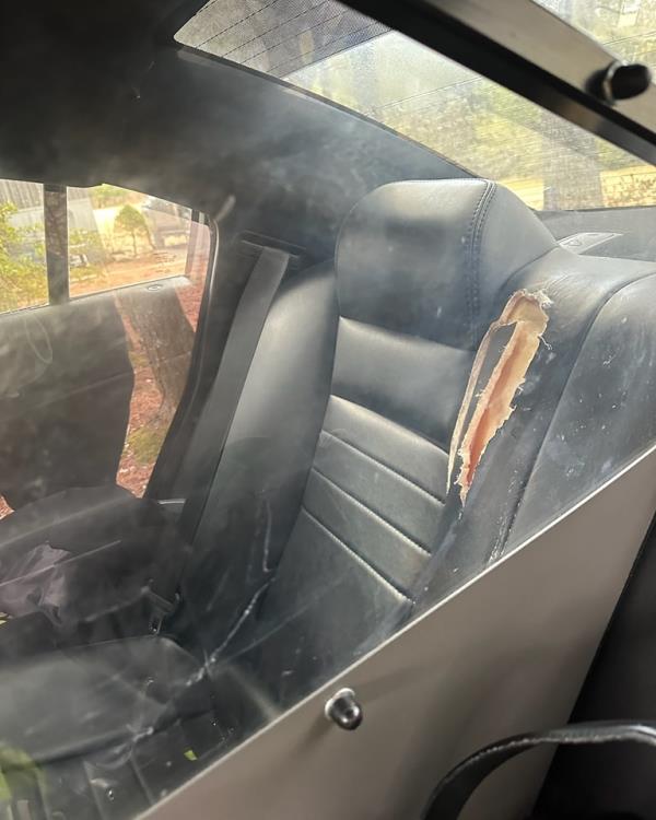 The woman chew on the back seat cushion following an arrest, cops said. 