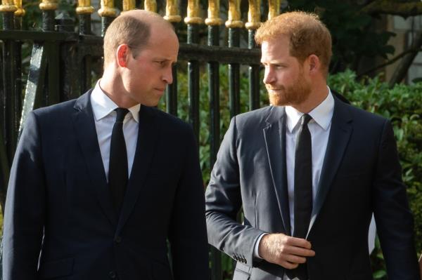 Prince William Prince Harry