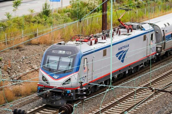 Amtrak has allegedly had numerous incidents of dog bites on board trains, according to a lawsuit.