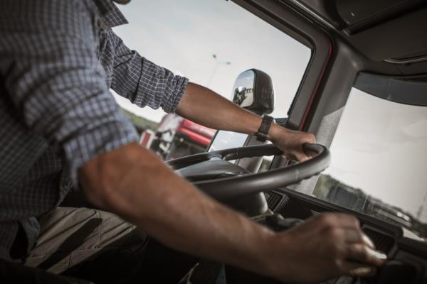 Transportation and Automotive Industry.