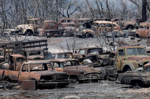 A field  near Chico, California, surrounded by burned, leafless trees is full of scorched vintage cars and trucks, after the Park Fire raged through.