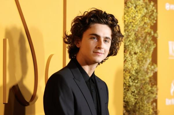 Mandatory Credit: Photo by Jason Szenes/UPI/Shutterstock (14179252f) Timothee Chalamet arrives on the red carpet at WSJ Magazine 2023 Innovator Awards on Wednesday, November 01, 2023 in New York City. Wsj Magazine 2023 Innovator Awards, New York, United States - 01 Nov 2023