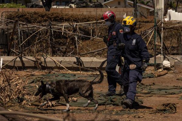 Corrine Hussey Nobriga said it was hard to lay blame for a tragedy that took everyone by surprise, even if some of her neighbors raised questions a<em></em>bout the absence of sirens and inadequate evacuation routes.