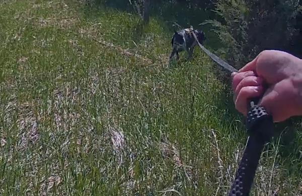 According to her son, the unnamed woman had been missing for two hours -- but the dynamic duo sniffed them out within just 10 minutes.