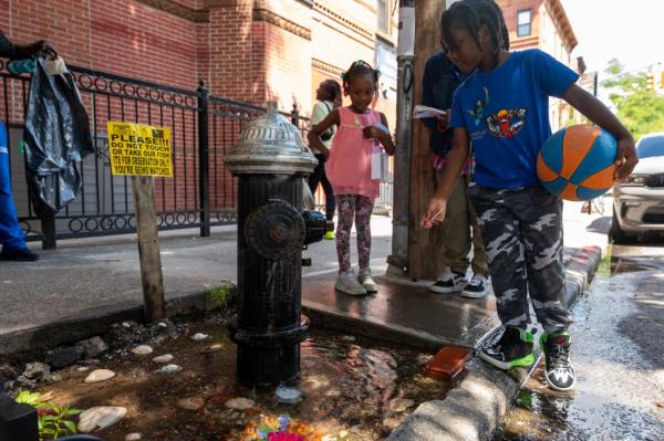 Children watch goldfish swim in a puddle under a leaking fire hydrant 