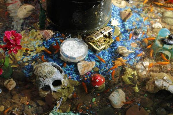 A leaking fire hydrant sits in the middle of the TikTok-famous Bed-Stuy Aquarium