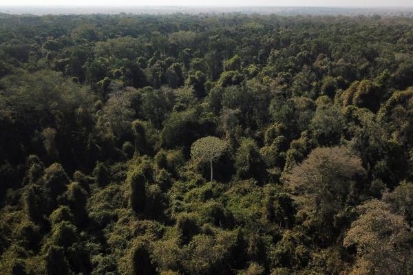 Scientists from the State University of Mato Grosso identify signs of climate change on the border between Amazo<em></em>nia and Cerrado