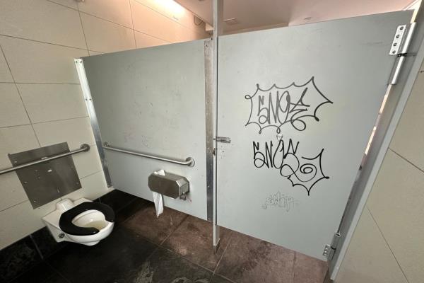 NYC Park bathrooms study