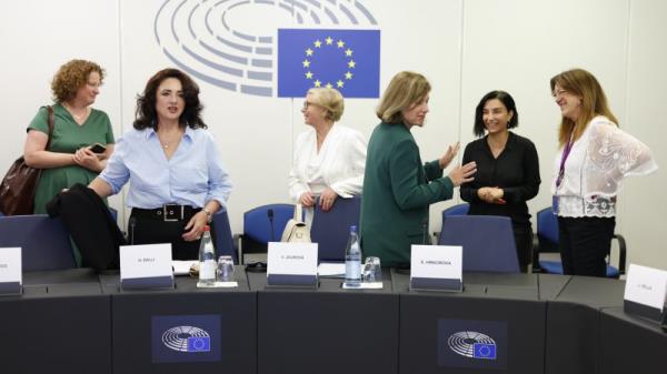 欧盟国家对将强奸纳入针对妇女的暴力指令存在分歧