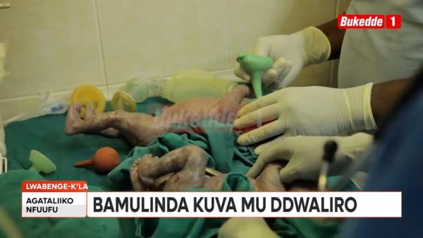 KAMPALA, Uganda a A 70-year-old woman in Uganda has given birth to twins after receiving fertility treatment, making her one of the worldas oldest new mothers.</p>

<p>　　