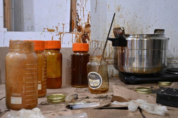 Estimated $10 Million dollars in illicit cannabis 