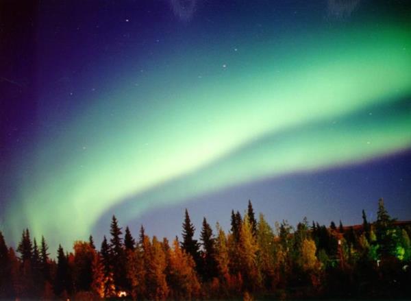 Aurora