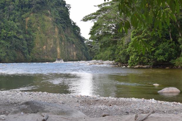 Co<em></em>nfluence of the Piatara and Jatunyaku rivers, which Kichwa communities in Napo province depend on for their livelihoods. Photo courtesy of Rebecca Wilson.