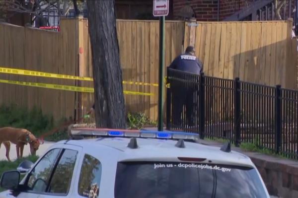 Reggie Brown, a disabled, 64-year-old man in Washington DC was beaten to death by a group of teen girls on Oct. 17, 2024.