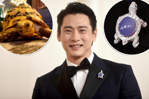 According to the turtle's Instagram, it was adopted by the 