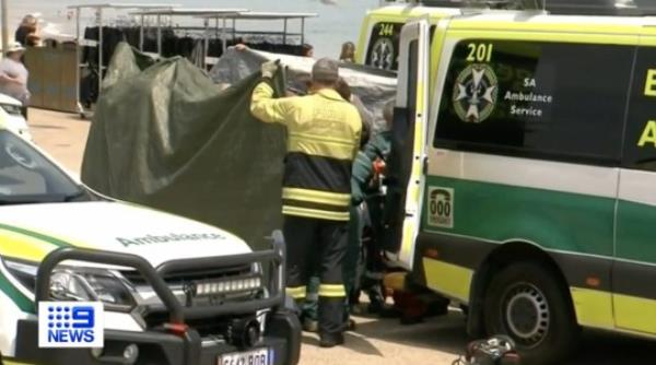 Aussie woman fighting for life after shark bites her on head 9 NEWS
