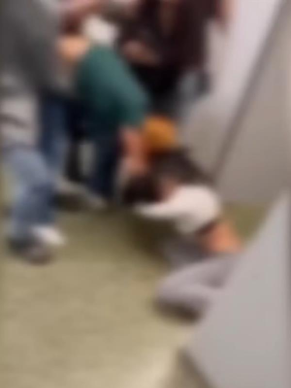 During the suspected fatal brawl on March 5, Mejia hit her head on a bathroom stall before she fell to the floor.