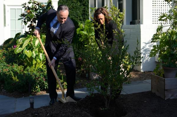 Vice President Kamala Harris and second gentleman Doug Emhoff planting a memorial tree to ho<em></em>nor victims of a past attack