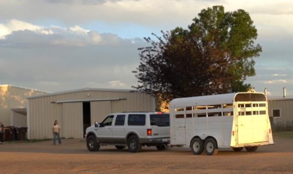 The Horse a<em></em>lert app has helped evacuate horses during the recent Colorado fires.