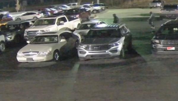 Car Theft Ring