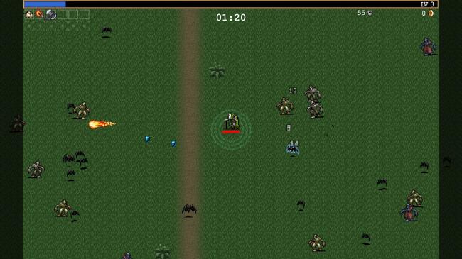 A player moving along the path in A Garlic Paradise Adventure in Vampire Survivors.