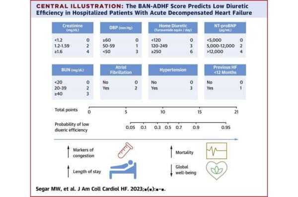 Machine learning informs a new tool to guide treatment for acute decompensated heart failure