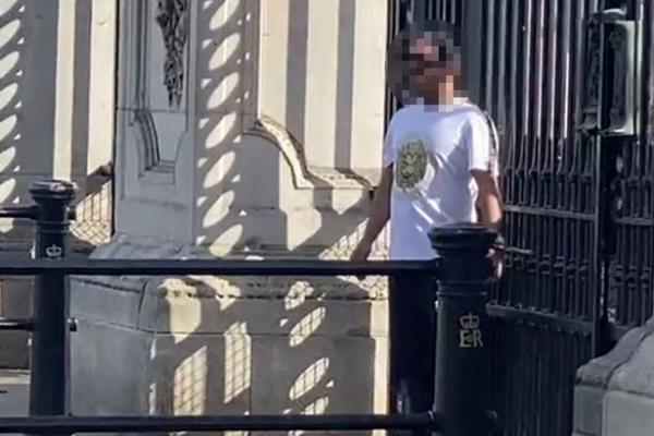 Buckingham Palace locked down by cops after man handcuffs himself to gates