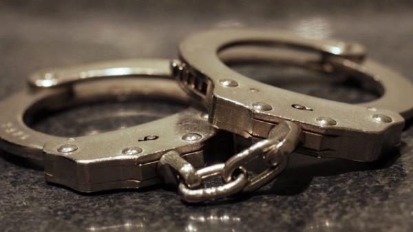 卢瑟福公司围捕行动中逮捕11人