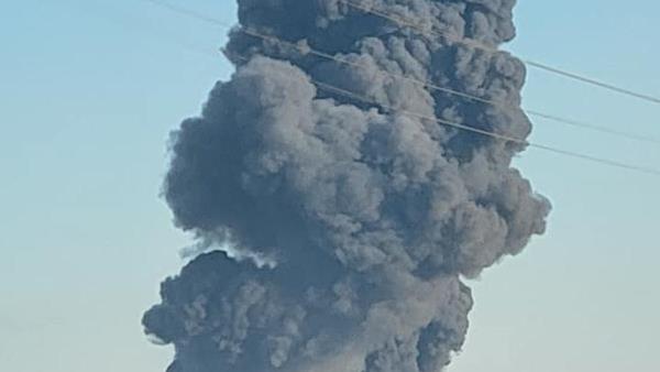 德克萨斯州奶牛死亡事件后：处理1.8万头牛尸体