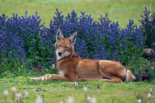 Image for article titled Pick the Best Image in This Nature Photography Contest