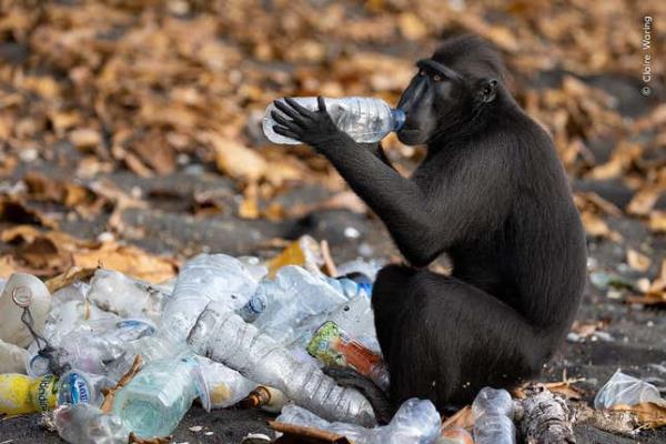 Image for article titled Pick the Best Image in This Nature Photography Contest