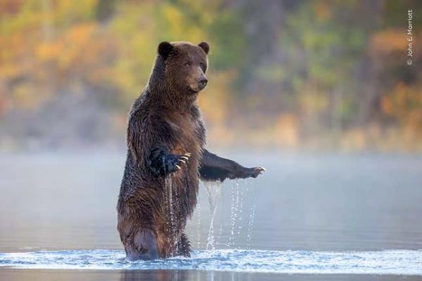 Image for article titled Pick the Best Image in This Nature Photography Contest