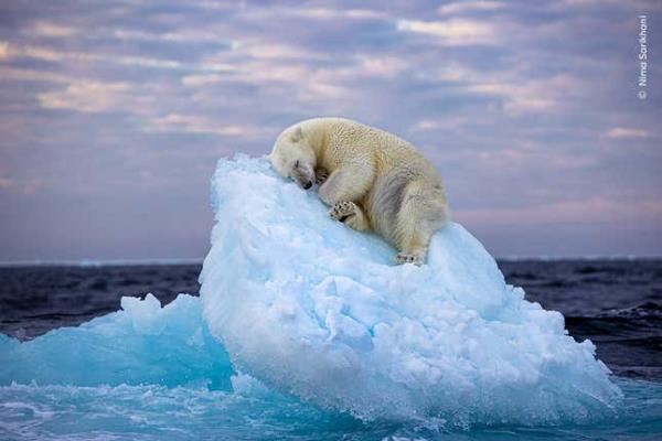 Image for article titled Pick the Best Image in This Nature Photography Contest