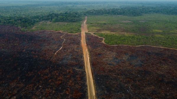 A deforested area of the Amazon rainforest near the city of Humaita, Amazo<em></em>nas state, Brazil, on September 15, 2022. 