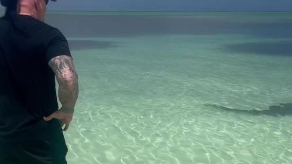 The Undertaker watching a shark swim away from him