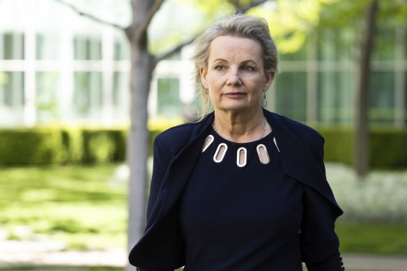Deputy leader of the Liberal Party Sussan Ley.